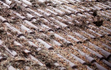 Bickington roof cleaning companies