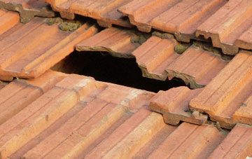 roof repair Bickington, Devon